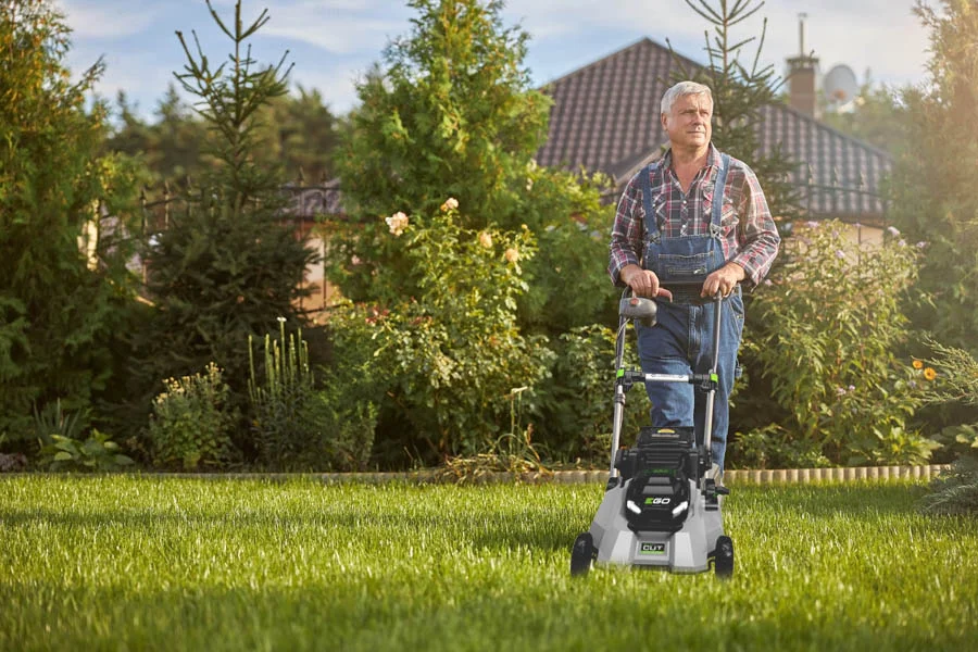 small electric push mower