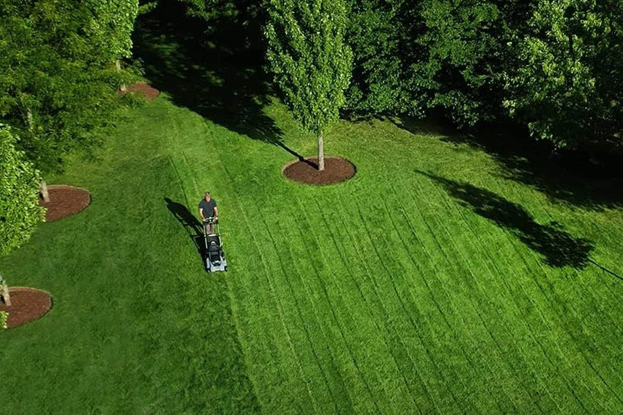 best self propelled electric mower