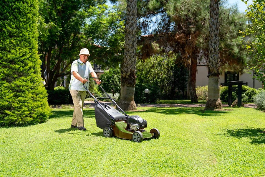 top rated electric lawn mower